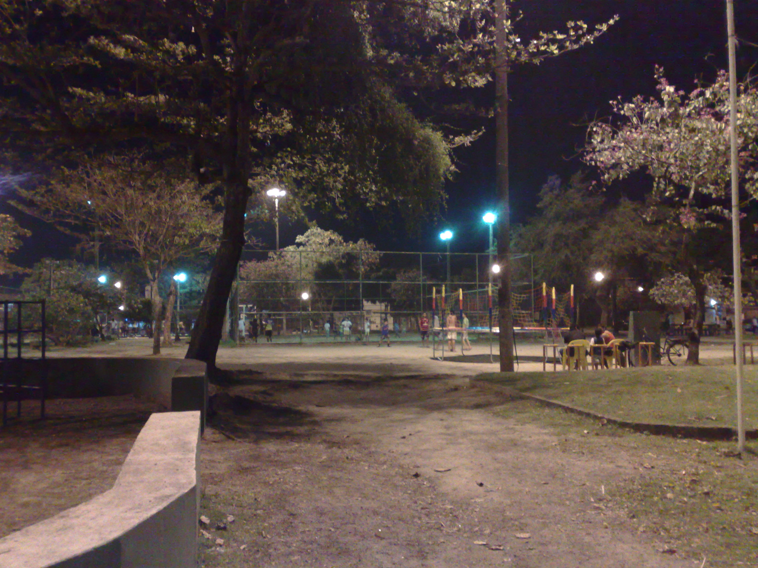 curicica