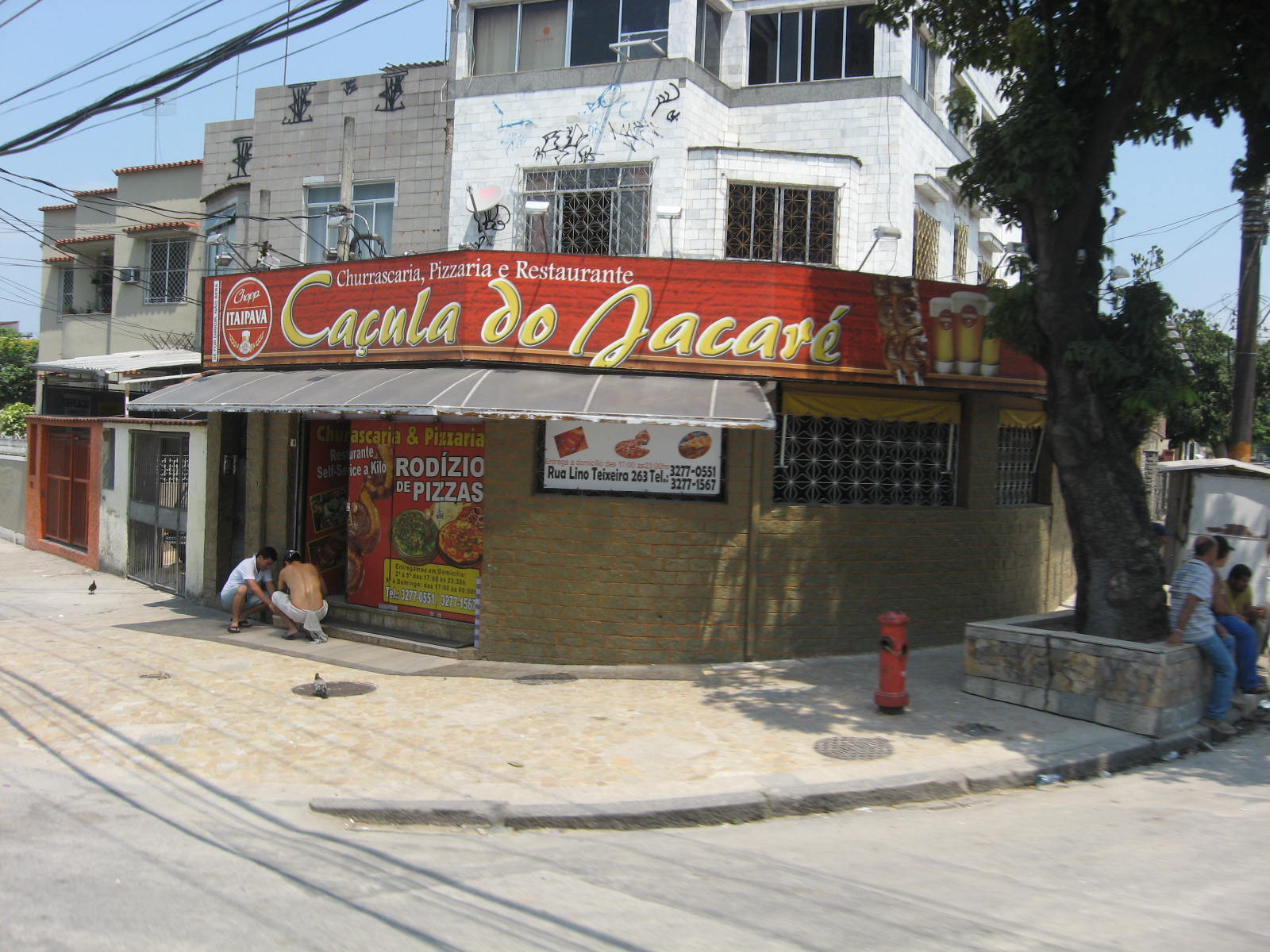 jacare