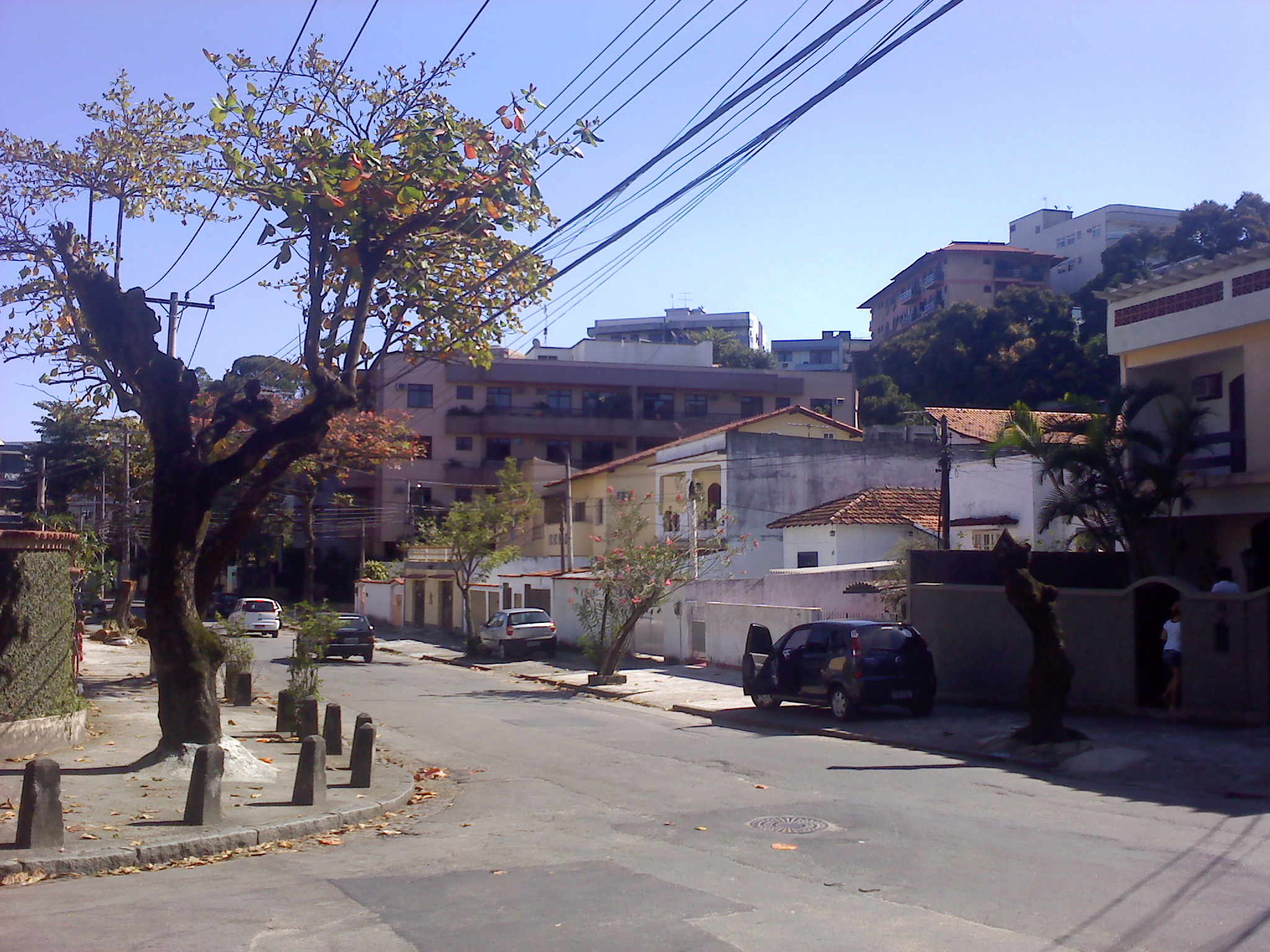 jardim_carioca