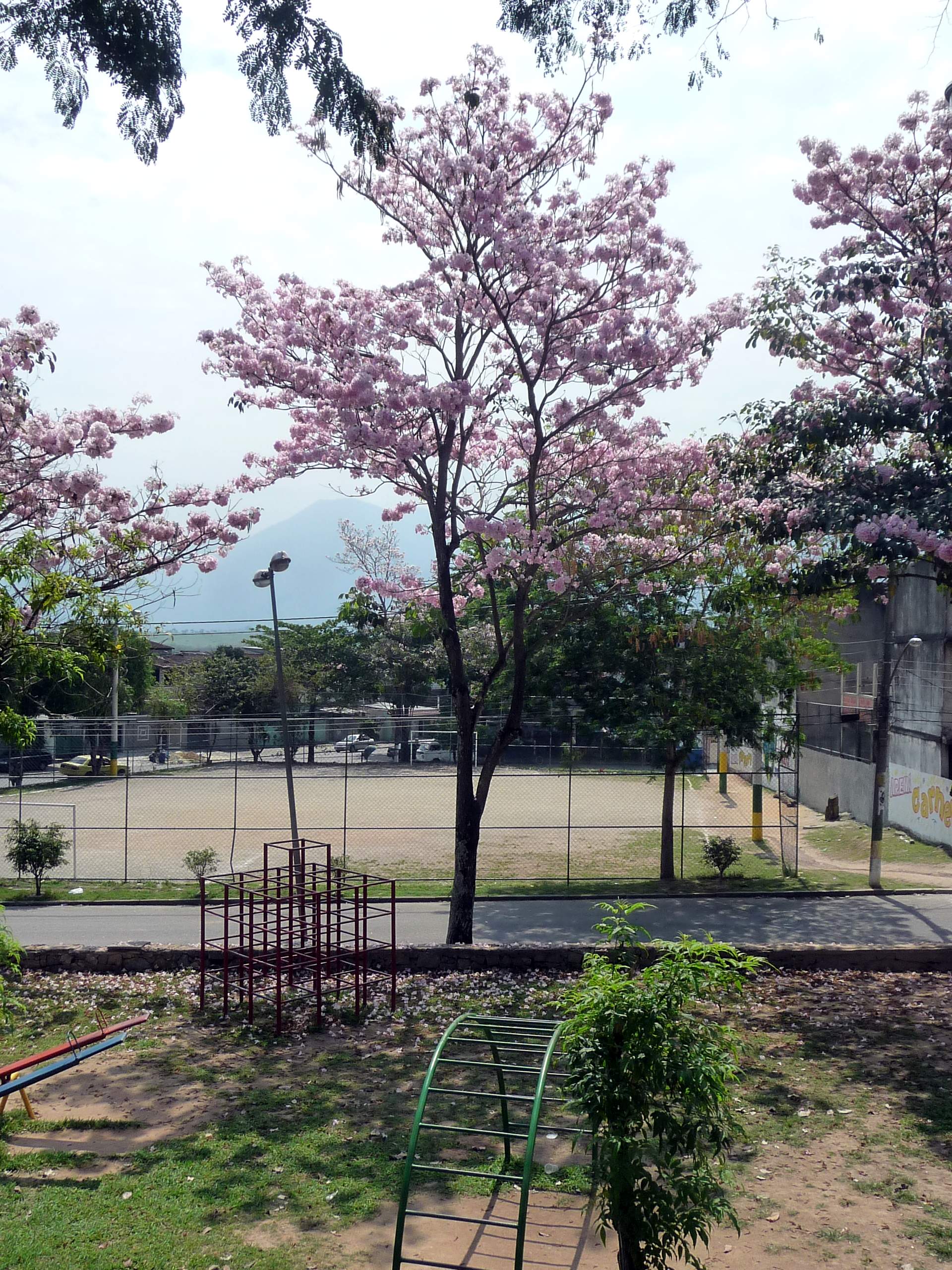 parque_anchieta