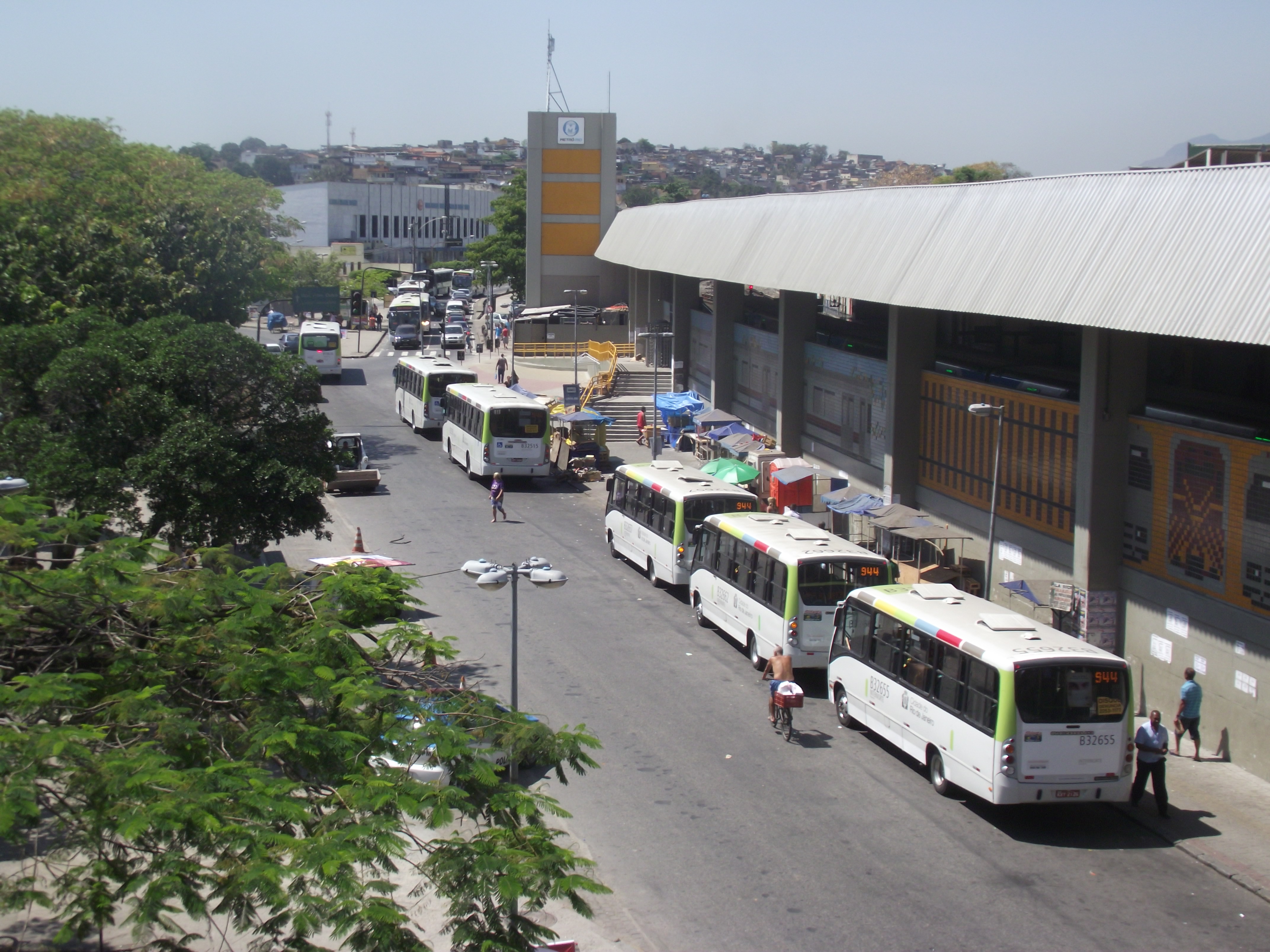 pavuna