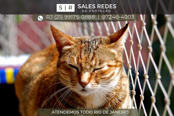 redes+de+protecao+gatos
