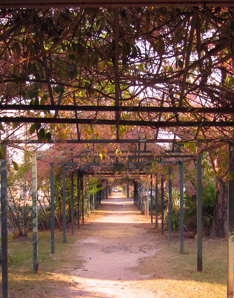 vila_kosmos